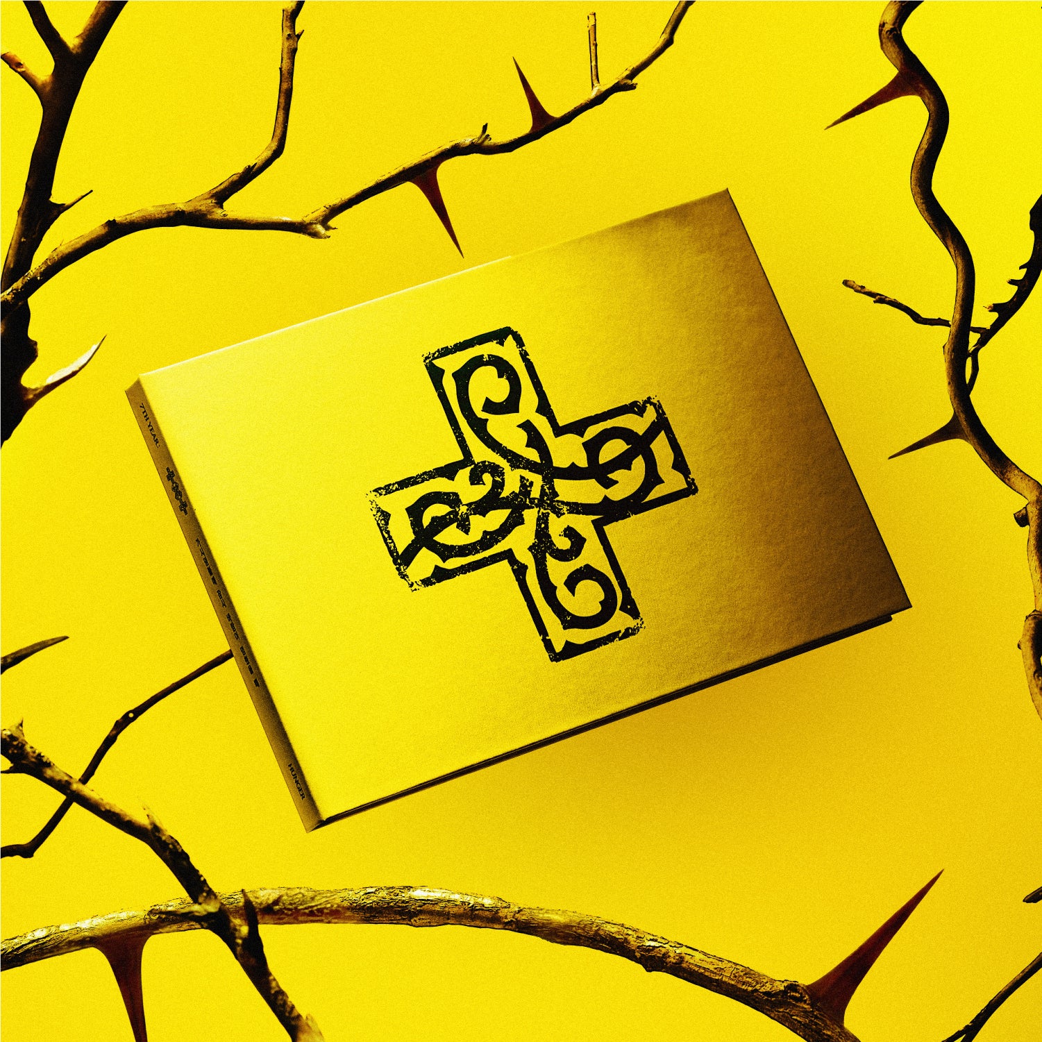 TOMORROW X TOGETHER - 7TH YEAR: A Moment of Stillness in the Thorns HUNGER Ver. - CD