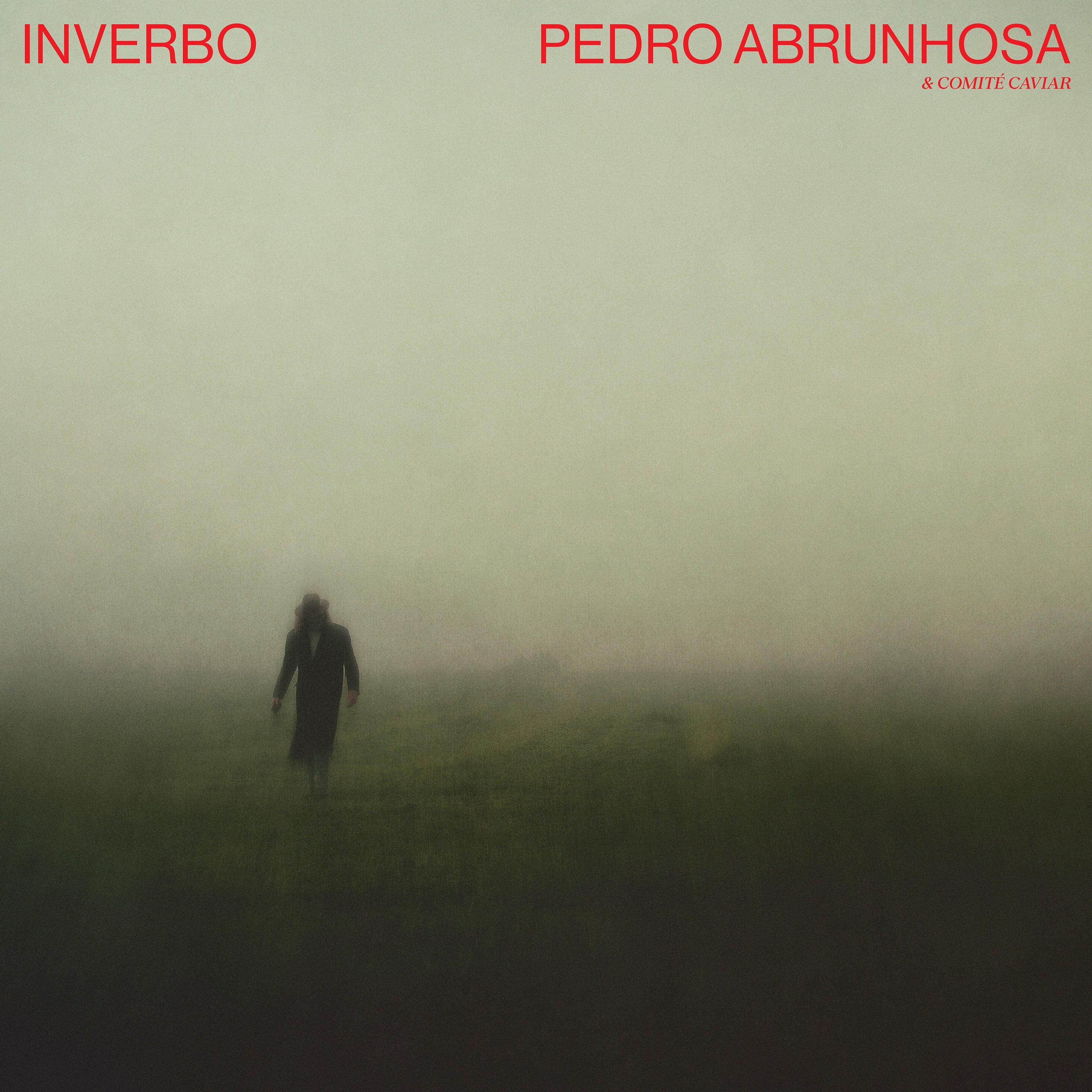 Pedro Abrunhosa - Inverbo - LP