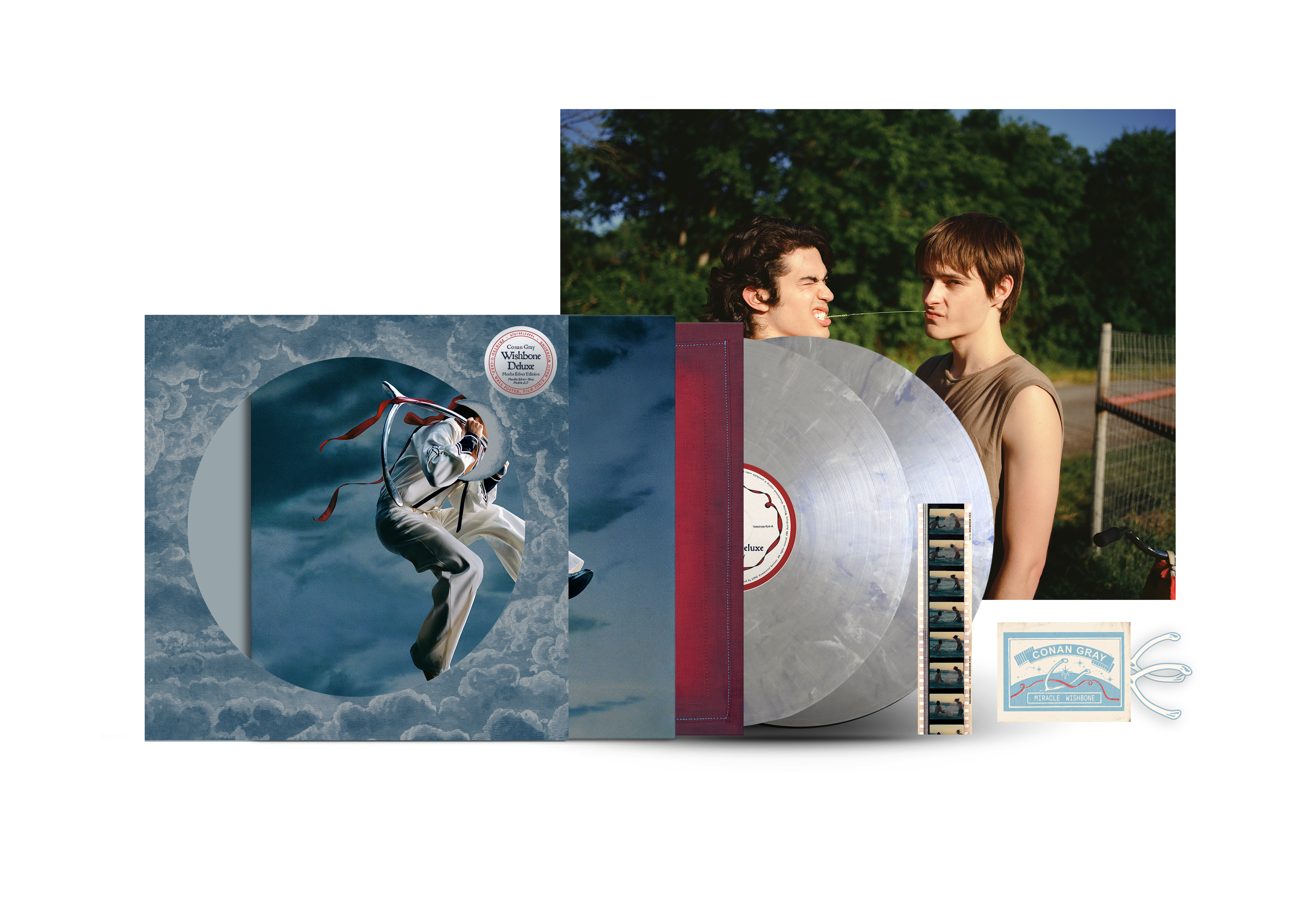 Pré-Venda Conan Gray - Wishbone Deluxe - 2LP (Moths Silver Edition)