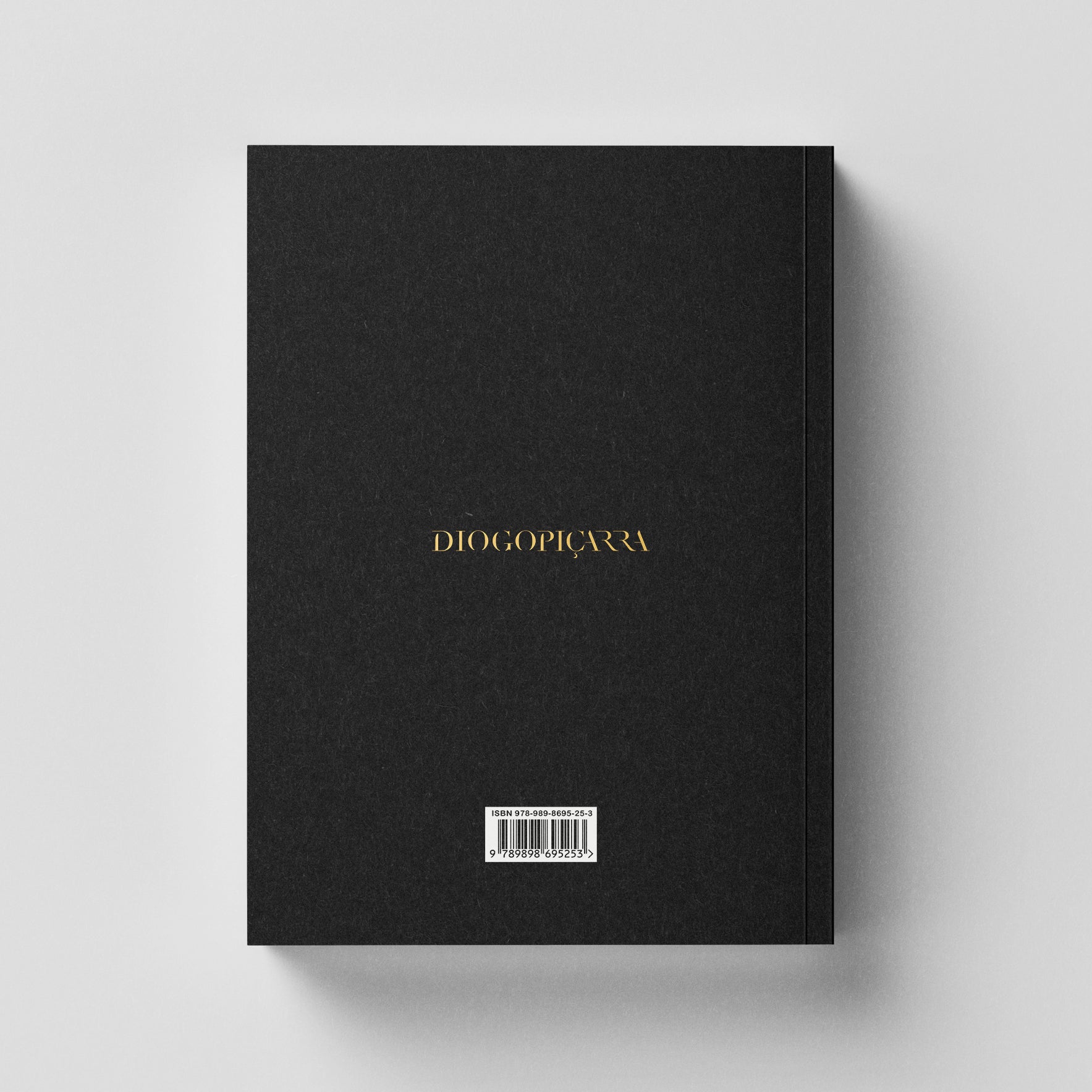 Diogo Piçarra - Um Espelho, Uma Década Livro